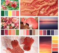 Palette association couleur corail 206x186